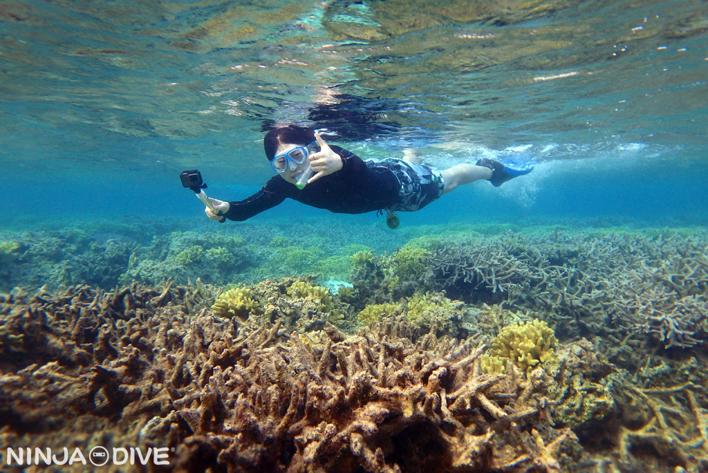 早朝スノーケル