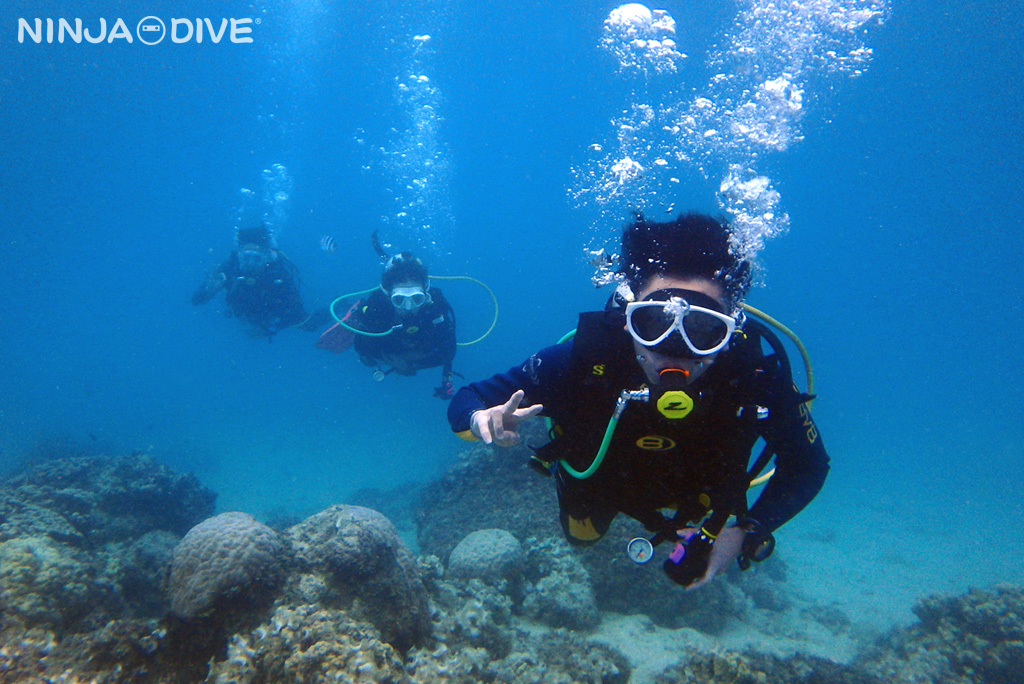 ライセンス講習