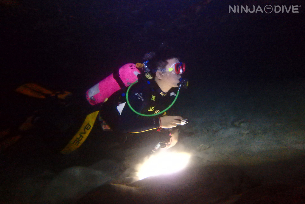 ナイトダイビング