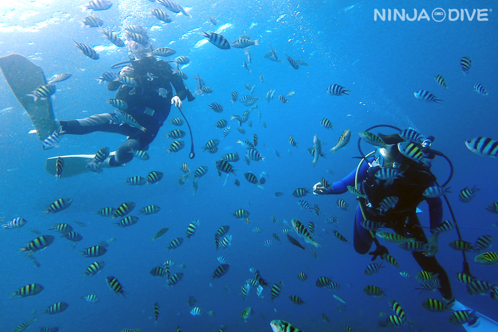 体験ダイビング