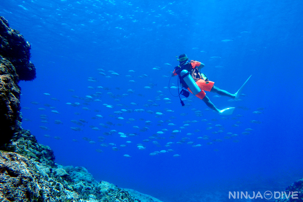 グアム北部 ファンダイビング 恋人岬