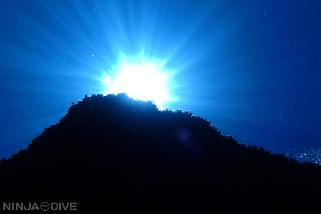 グアム ファンダイビング 幻想的