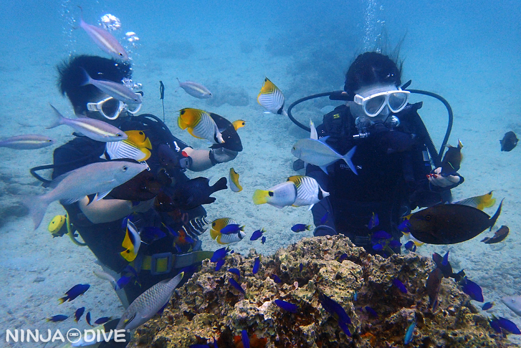 グアム 体験ダイビング ビーチ