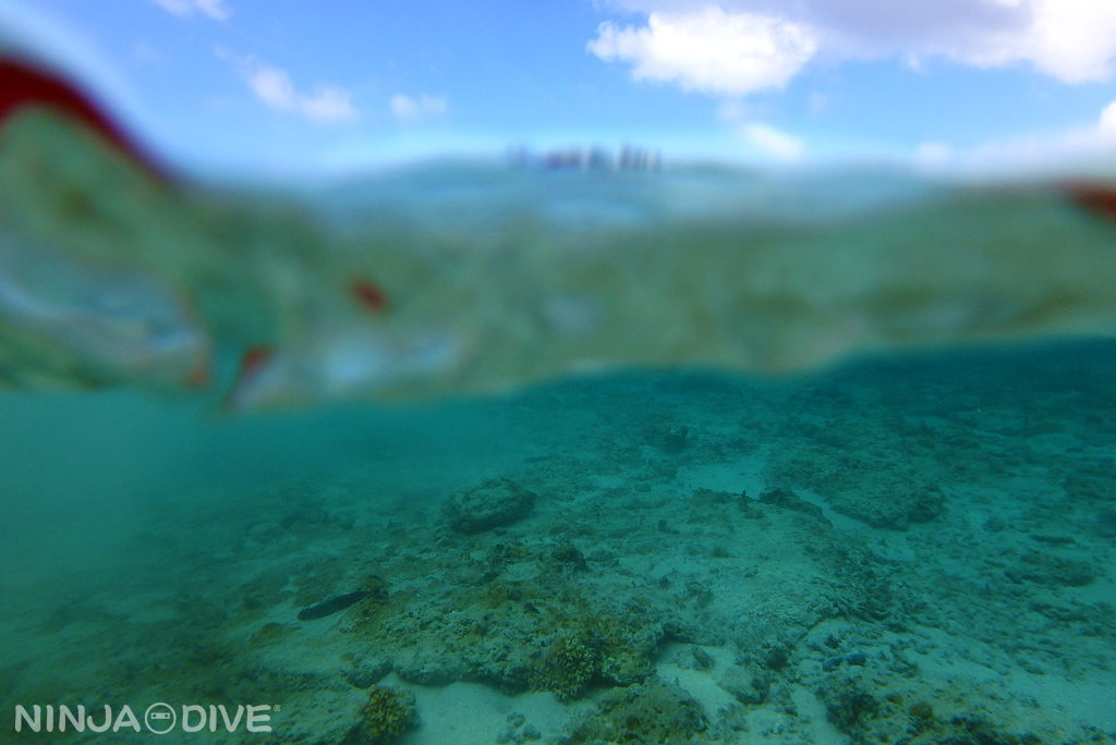 グアム 体験ダイビング ファンダイビング ビーチ