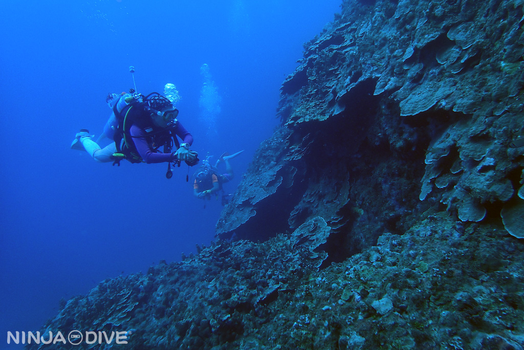 グアム南部 ファンダイビング ボートダイビング ネイサンズデント