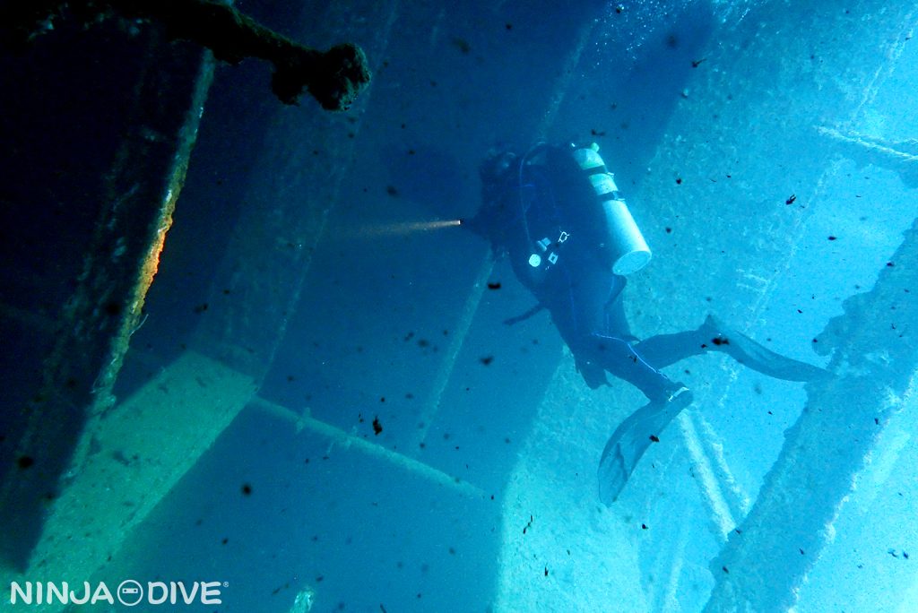 コーモラン号, ファンダイビング, ボートダイビング