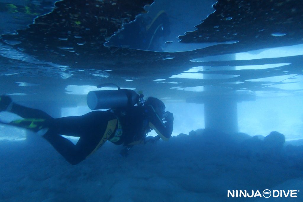 ファンダイビング ビーチダイビング ピティボムホール