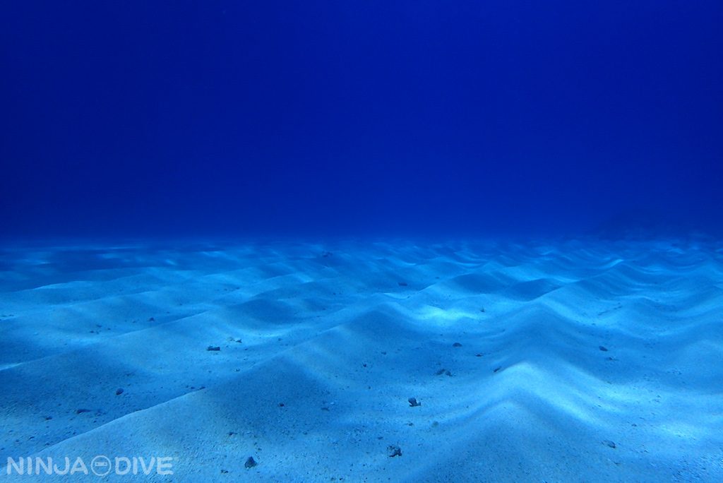 グアム 体験ダイビング ファンダイビング ビーチ ボートダイビング