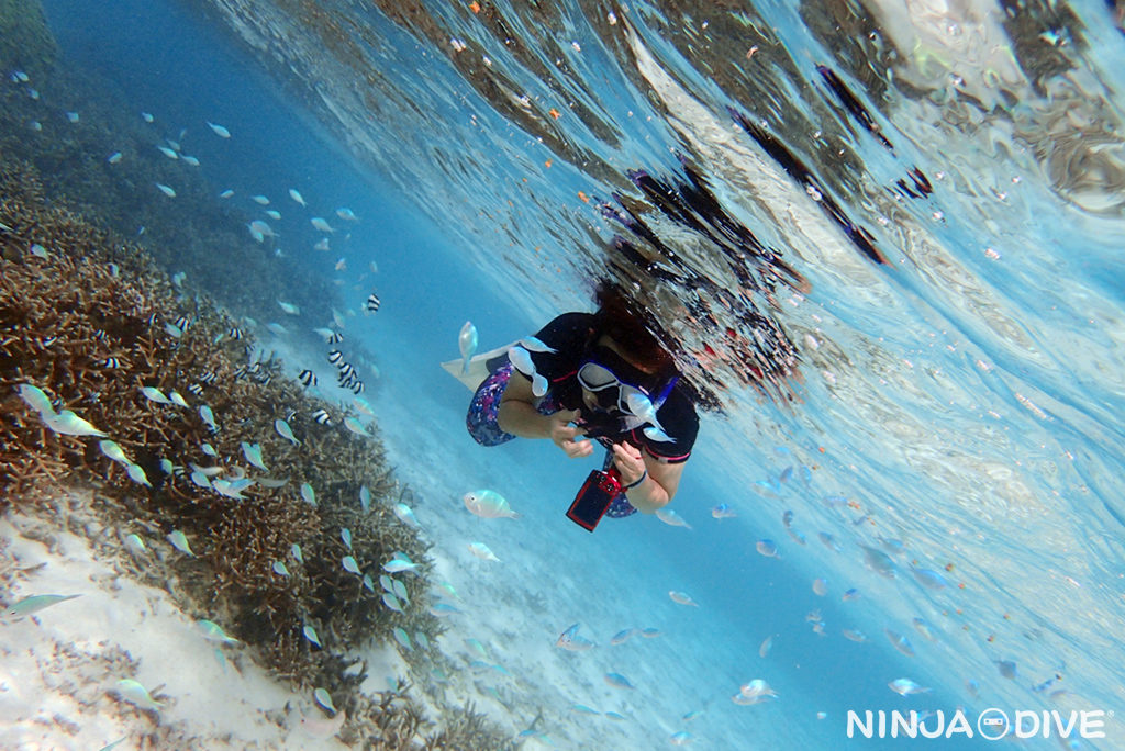 グアム スノーケル シュノーケル イパオビーチ