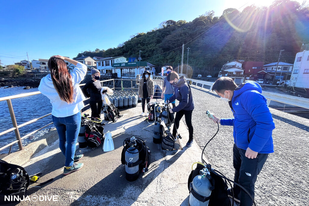 ドライスーツ 川奈 静岡 伊東市 貸し切り プライベート チャーター ファンダイビング ダイビング ビギナー 初心者 少人数 ウミウシ ダイビングショップ ショップツアー ダイビングツアー ビーチダイビング