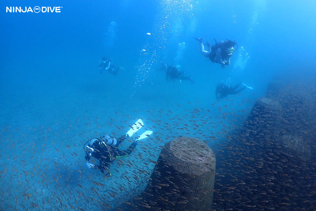 ドライスーツ 川奈 静岡 伊東市 貸し切り プライベート チャーター ファンダイビング ダイビング ビギナー 初心者 少人数 ウミウシ ダイビングショップ ショップツアー ダイビングツアー ビーチダイビング