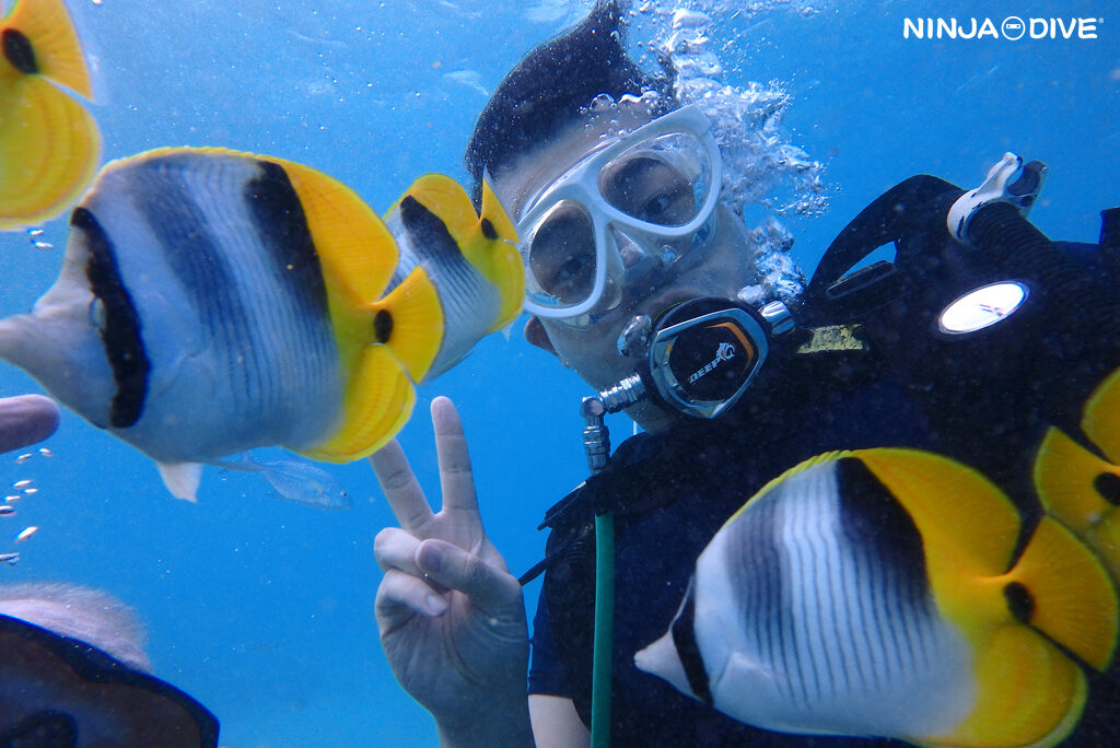 貸し切り プライベート ビーチダイビング グアム 体験ダイビング ビギナー 初心者 ダイビングショップ 水中展望台 お魚いっぱい おひとりさま