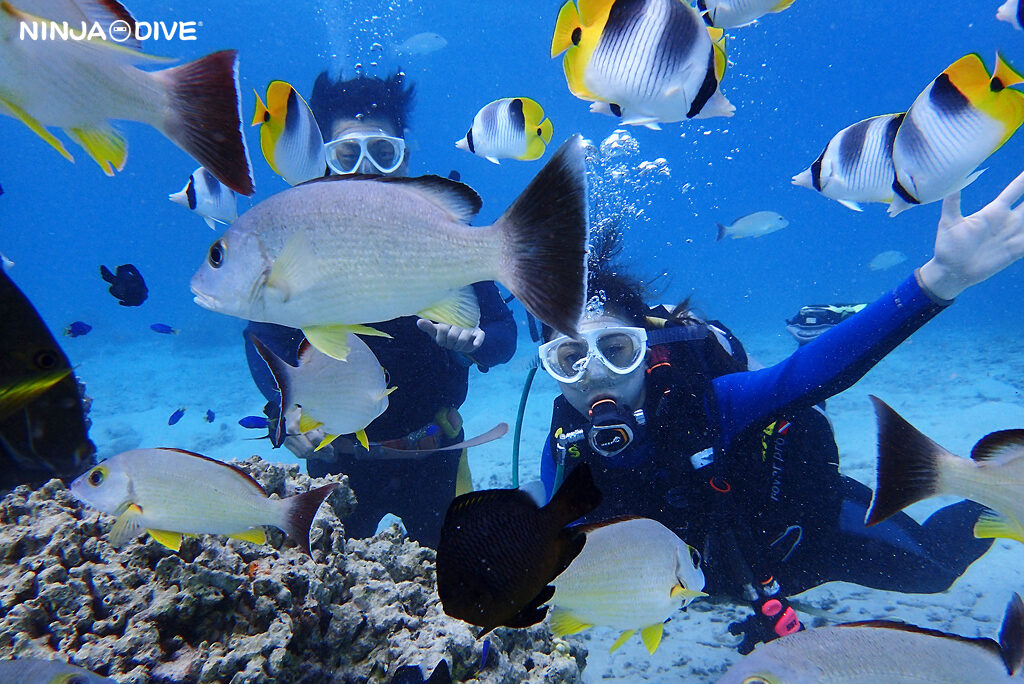 貸し切り プライベート ビーチダイビング グアム 体験ダイビング ビギナー 初心者 ダイビングショップ 水中展望台 お魚いっぱい カップル ピティボムホール