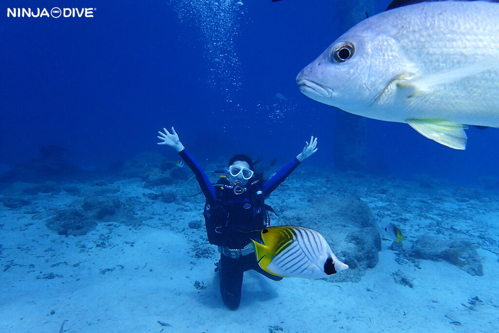 貸し切り プライベート ビーチダイビング グアム 体験ダイビング ビギナー 初心者 ダイビングショップ 水中展望台 お魚いっぱい カップル ピティボムホール