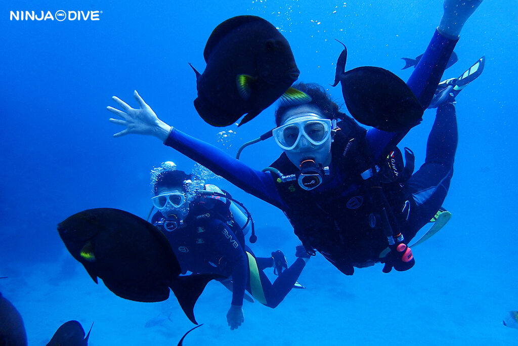貸し切り プライベート ビーチダイビング グアム 体験ダイビング ビギナー 初心者 ダイビングショップ 水中展望台 お魚いっぱい カップル ピティボムホール