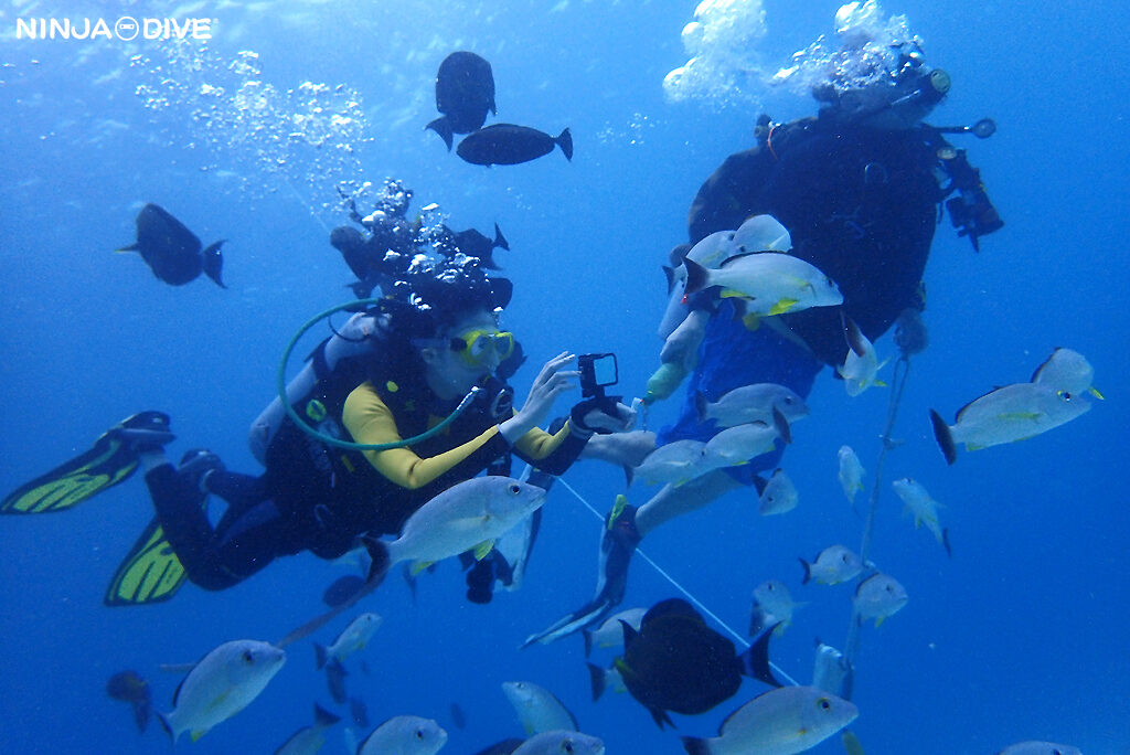 貸し切り プライベート ビーチダイビング グアム 体験ダイビング ビギナー 初心者 ダイビングショップ 水中展望台 お魚いっぱい カップル ピティボムホール 初めてのダイビング 家族旅行