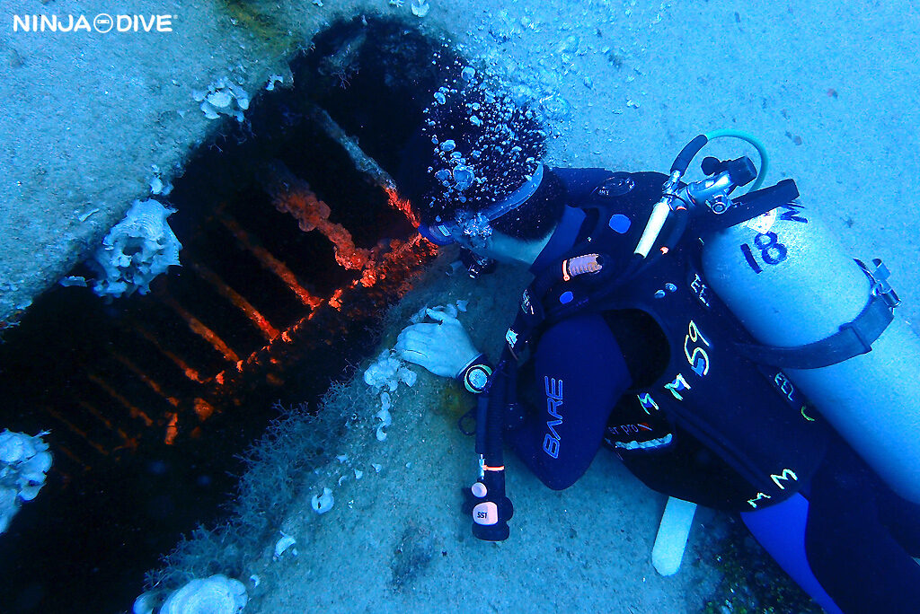 NINJA DIVE 忍者ダイブ 貸し切り プライベート チャーター ファンダイビング ボートダイビング グアム ダイビング ビギナー 初心者 少人数 ブルーホール アメリカンタンカー ダイビングショップ おひとりさま