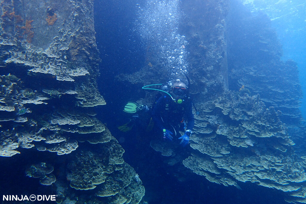 NINJA DIVE 忍者ダイブ 貸し切り プライベート チャーター ファンダイビング ボートダイビング グアム ダイビング ビギナー 初心者 少人数 シャークスピット バルボンバー 九十九式艦上爆撃機 ダイビングショップ レック 沈船