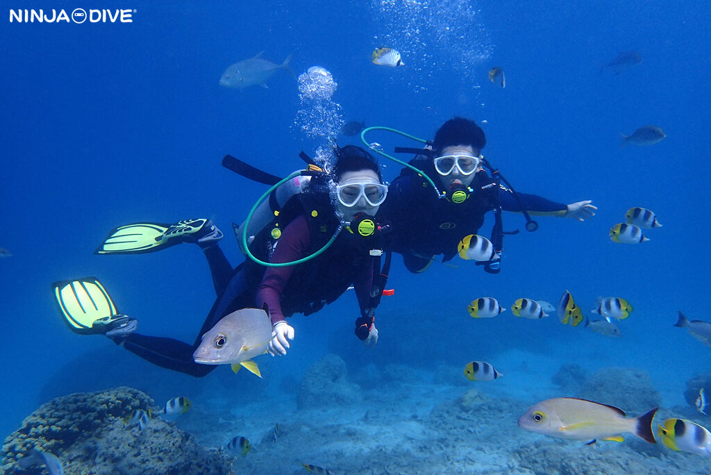 NINJA DIVE 忍者ダイブ 貸し切り プライベート ビーチダイビング グアム 体験ダイビング ビギナー 初心者 ダイビングショップ 水中展望台 お魚いっぱい 親子 母娘 カップル ピティボムホール