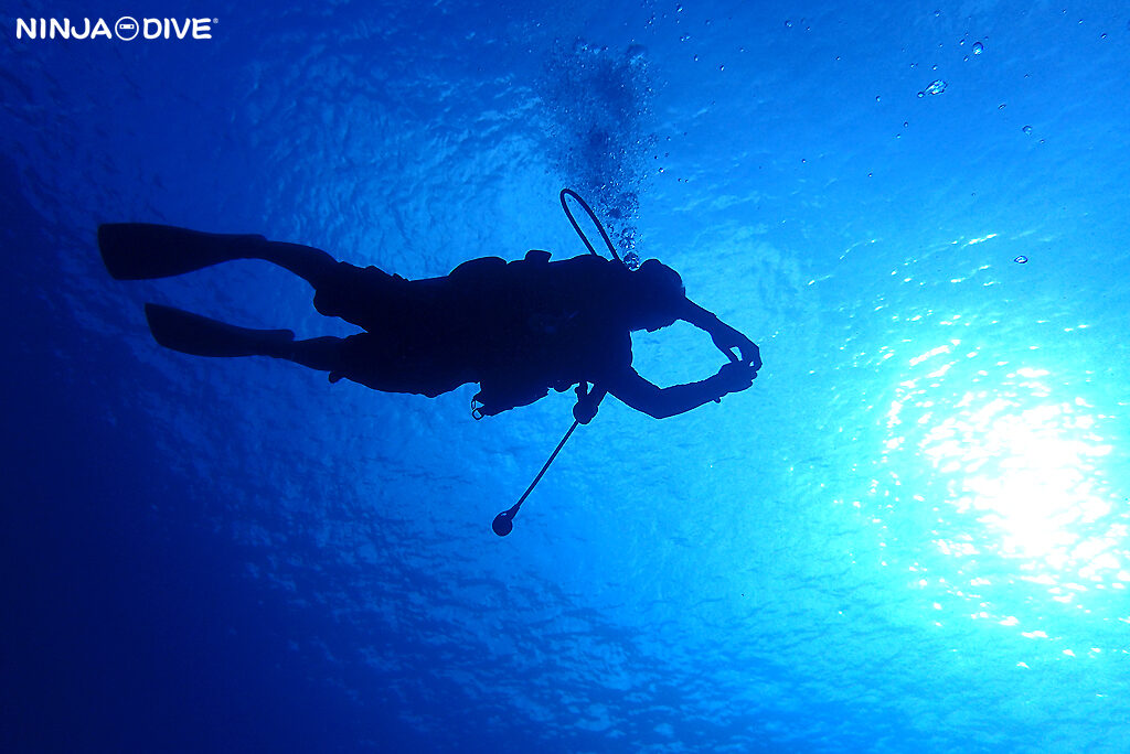 NINJA DIVE 忍者ダイブ 貸し切り プライベート チャーター ファンダイビング ボートダイビング グアム ダイビング ビギナー 初心者 少人数 ブルーホール ブルーアンドホワイト グラスブレイクウォーター ダイビングショップ ブランクダイバー リフレッシュ