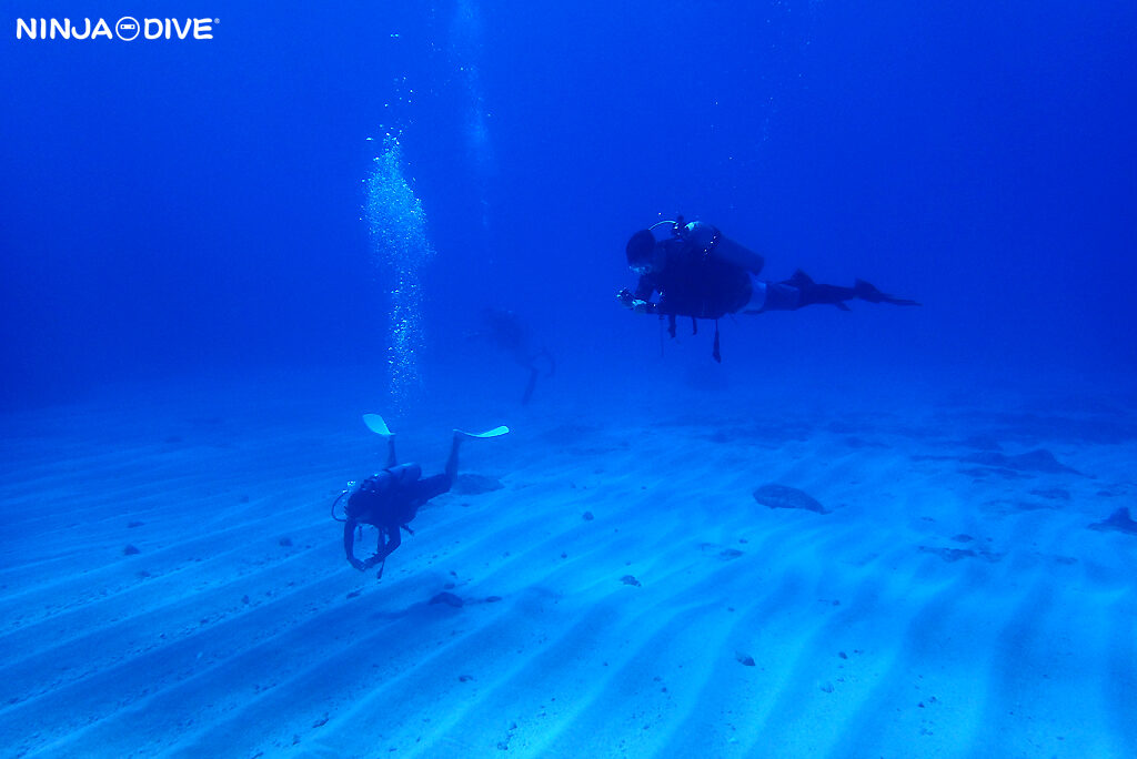 NINJA DIVE 忍者ダイブ 貸し切り プライベート チャーター ファンダイビング ボートダイビング グアム ダイビング ビギナー 初心者 少人数 ブルーホール ブルーアンドホワイト グラスブレイクウォーター ダイビングショップ ブランクダイバー リフレッシュ