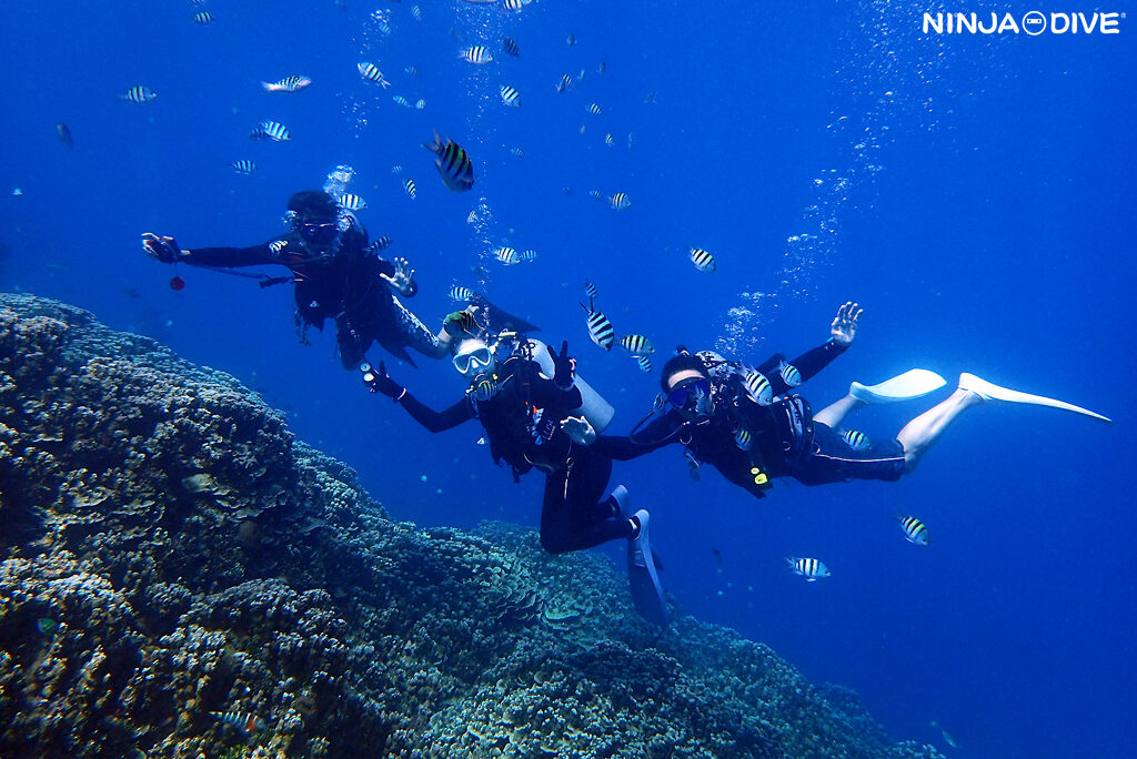 NINJA DIVE 忍者ダイブ 貸し切り プライベート チャーター ファンダイビング ボートダイビング グアム ダイビング ビギナー 初心者 少人数 クレバス フィンガーリーフ ダイビングショップ ブランクダイバー リフレッシュ