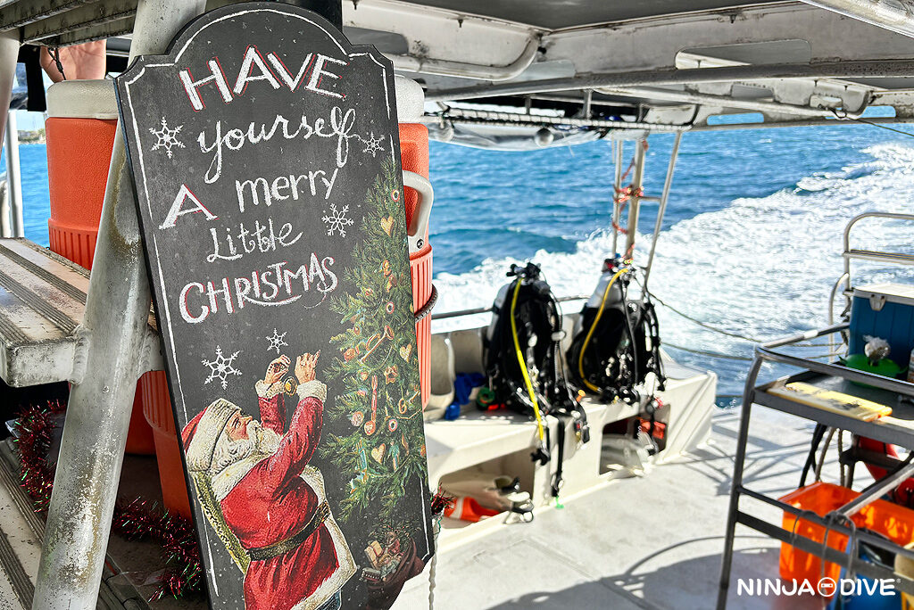 NINJA DIVE 忍者ダイブ 貸し切り プライベート チャーター ファンダイビング ボートダイビング グアム ダイビング ビギナー 初心者 少人数 クレバス ターザンケーブ ダイビングショップ おひとりさま歓迎 クリスマス