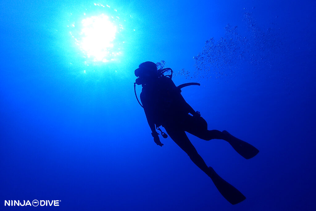 NINJA DIVE 忍者ダイブ 貸し切り プライベート チャーター ファンダイビング ボートダイビング グアム ダイビング ビギナー 初心者 少人数 クレバス ターザンケーブ ダイビングショップ おひとりさま歓迎 クリスマス