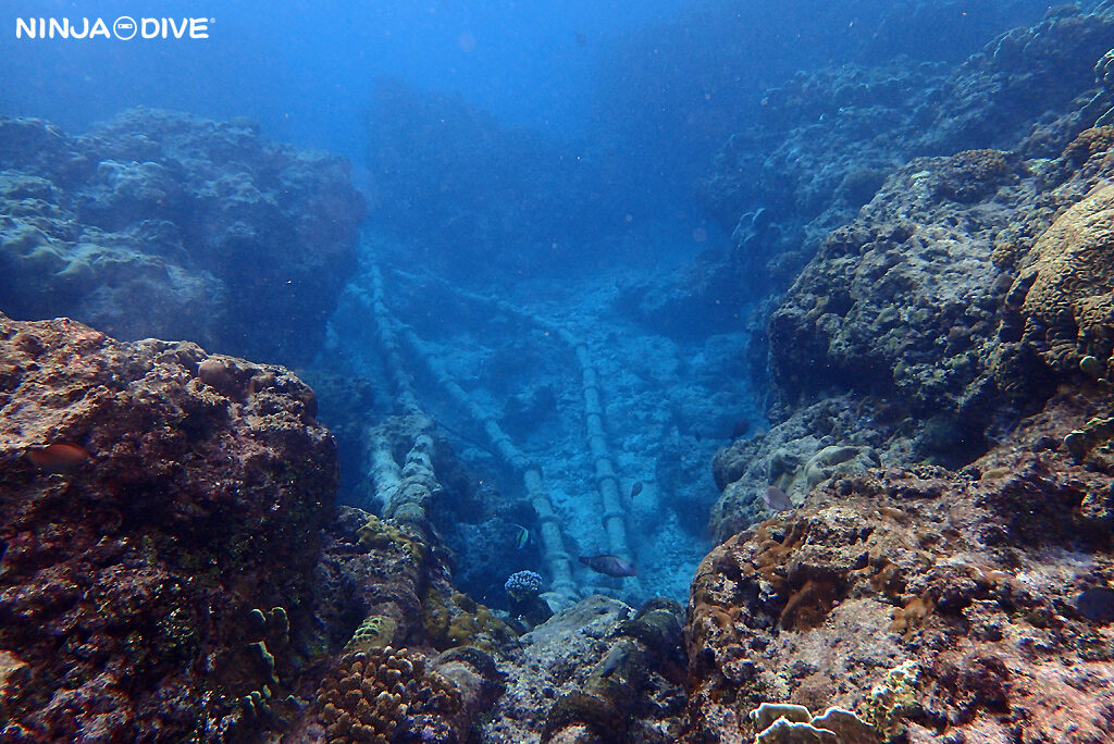 貸し切り プライベート チャーターボート ボートチャーター ファンダイビング ボートダイビング ビーチダイビング ナイトダイビング ナイトダイブ グアム ダイビング ビギナー 初心者 少人数 ウミウシ ダイビングショップ グアム ガンビーチ サンセットダイビング ザビーチ TheBeach