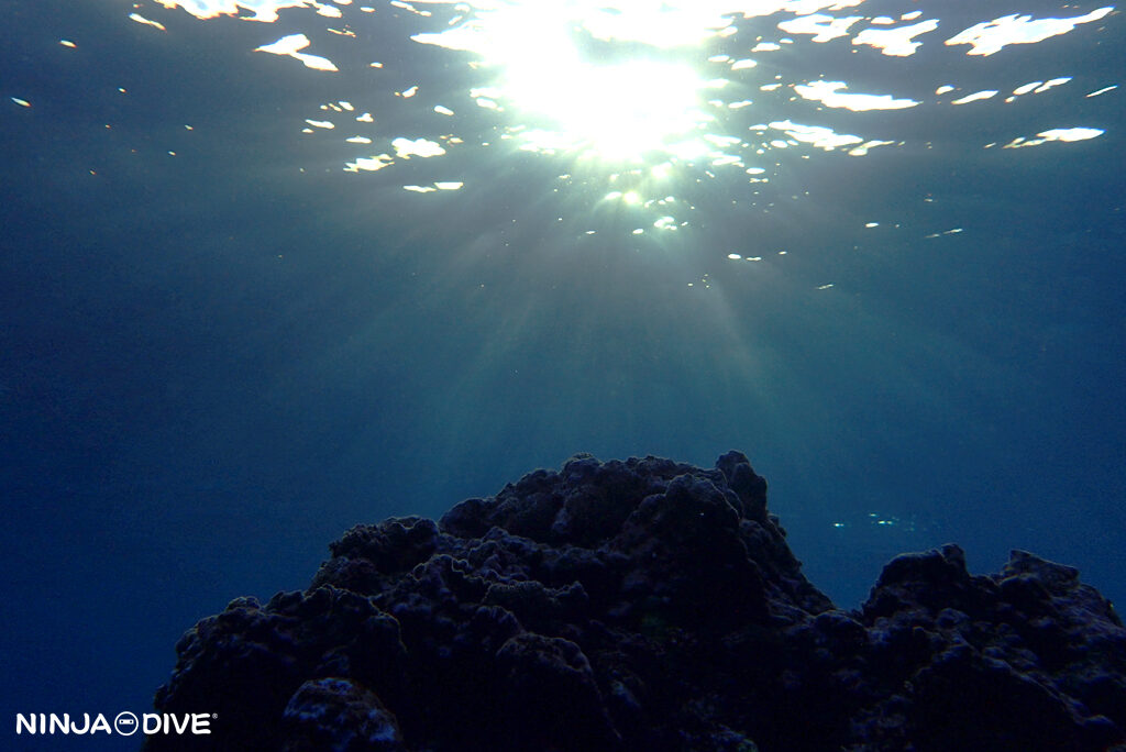 貸し切り プライベート チャーターボート ボートチャーター ファンダイビング ボートダイビング ビーチダイビング ナイトダイビング ナイトダイブ グアム ダイビング ビギナー 初心者 少人数 ウミウシ ダイビングショップ グアム ガンビーチ サンセットダイビング ザビーチ TheBeach