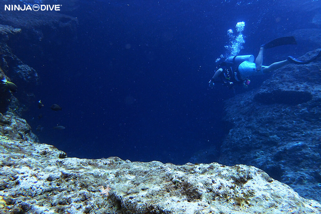 NINJA DIVE 忍者ダイブ 貸し切り プライベート チャーター ファンダイビング ボートダイビング グアム ダイビング ビギナー 初心者 少人数 バラクーダロック ウェスタンショールズ ダイビングショップ おひとりさま歓迎 クリスマス モヨウフグ 洞窟 ケーブ