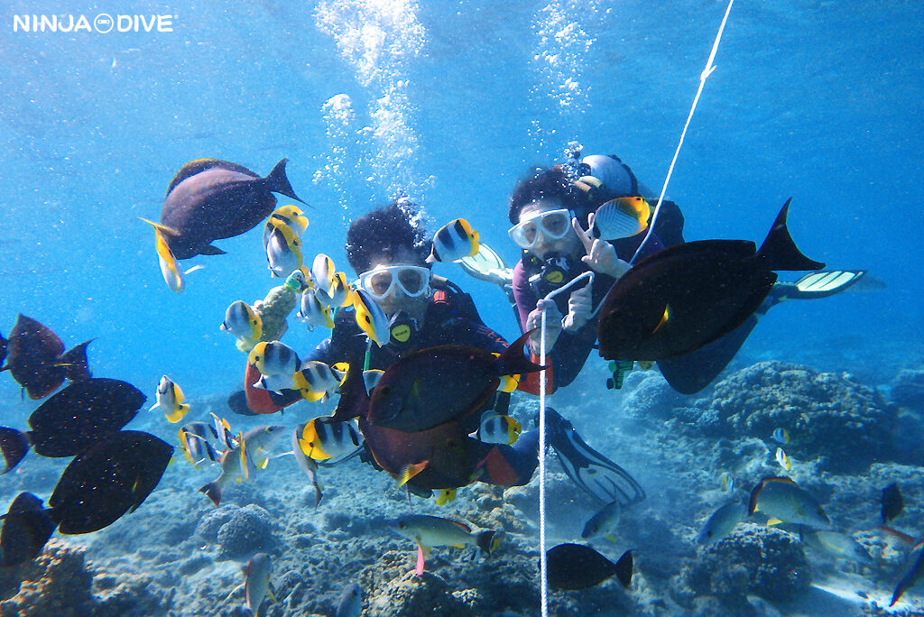 NINJA DIVE 忍者ダイブ 貸し切り プライベート ビーチダイビング グアム 体験ダイビング ビギナー 初心者 ダイビングショップ 水中展望台 お魚いっぱい 新婚 カップル ピティボムホール パラセーリング