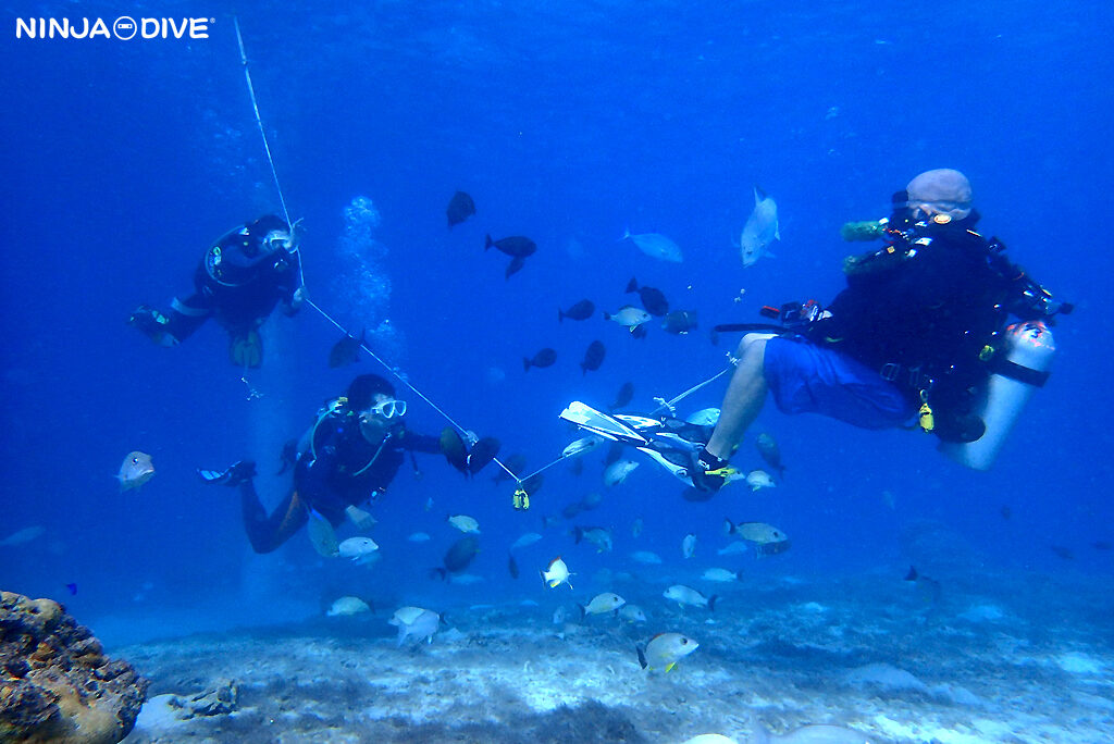 NINJA DIVE 忍者ダイブ 貸し切り プライベート ビーチダイビング グアム 体験ダイビング ビギナー 初心者 ダイビングショップ 水中展望台 お魚いっぱい 新婚 カップル ピティボムホール パラセーリング