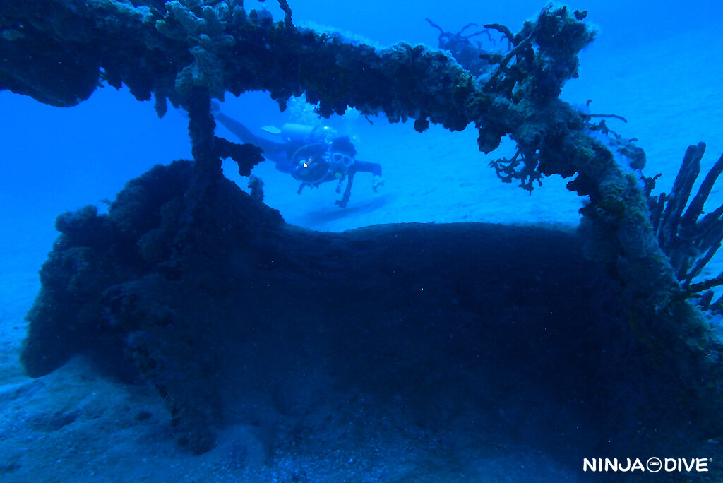 NINJA DIVE 忍者ダイブ 貸し切り プライベート チャーター ファンダイビング ボートダイビング グアム ダイビング ビギナー 初心者 少人数 ブルーホール シービージャンクヤード ダイビングショップ おひとりさま