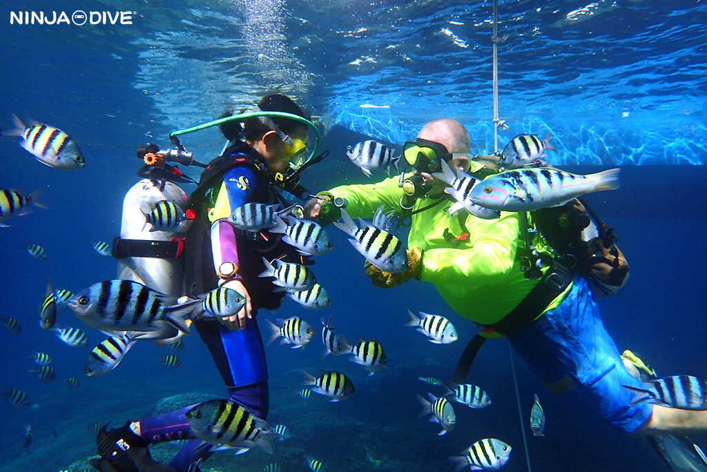 NINJA DIVE 忍者ダイブ 貸し切り プライベート チャーター ボートチャーター ファンダイビング ボートダイビング グアム ダイビング ビギナー 初心者 少人数 ダイビングショップ 家族 お子様連れ グアム 10歳