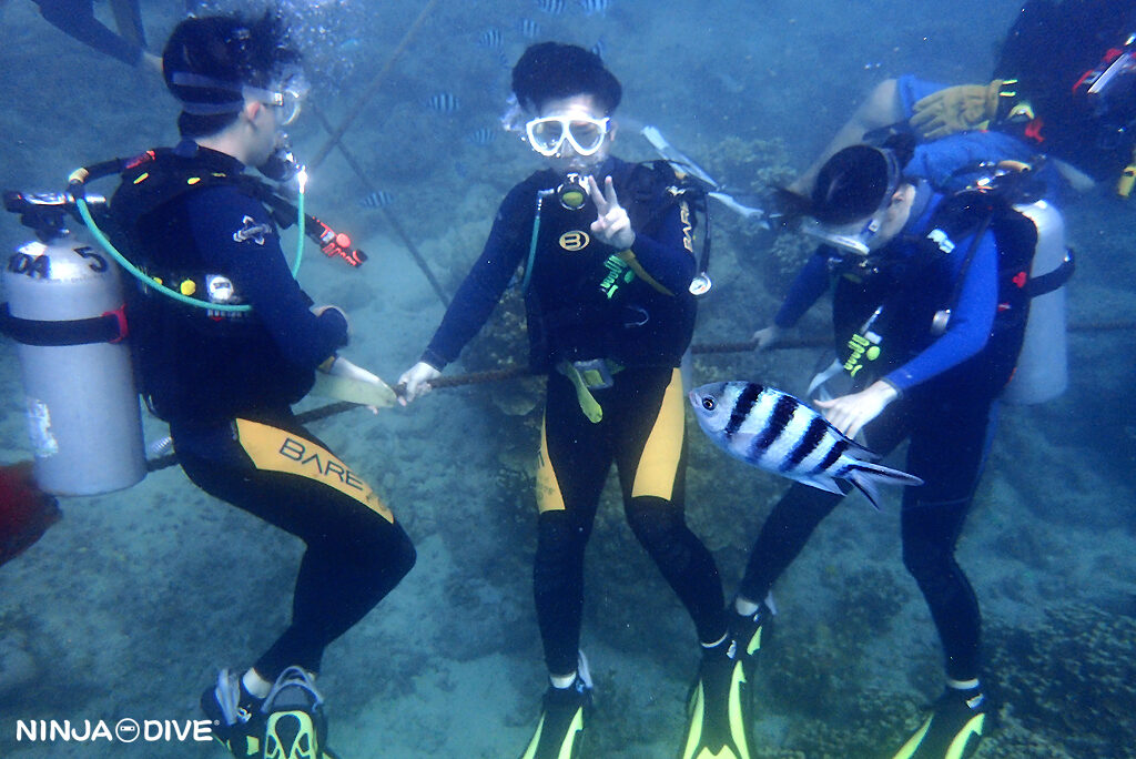 貸し切り プライベート ビーチダイビング グアム 体験ダイビング ビギナー 初心者 ダイビングショップ お魚いっぱい 親子 家族 おひとりさま 同伴 付き添い