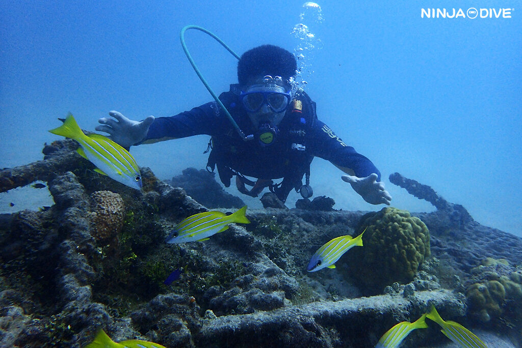 貸し切り プライベート ビーチダイビング グアム 体験ダイビング ビギナー 初心者 ダイビングショップ お魚いっぱい 親子 家族 おひとりさま 同伴 付き添い