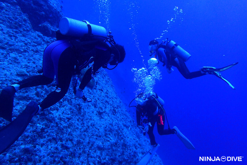 NINJA DIVE 忍者ダイブ 貸し切り プライベート チャーター ファンダイビング ボートダイビング グアム ダイビング ビギナー 初心者 少人数 ブルーホール ギャブギャブ2  ダイビングショップ おひとりさま カップル ショップツアー 女子旅