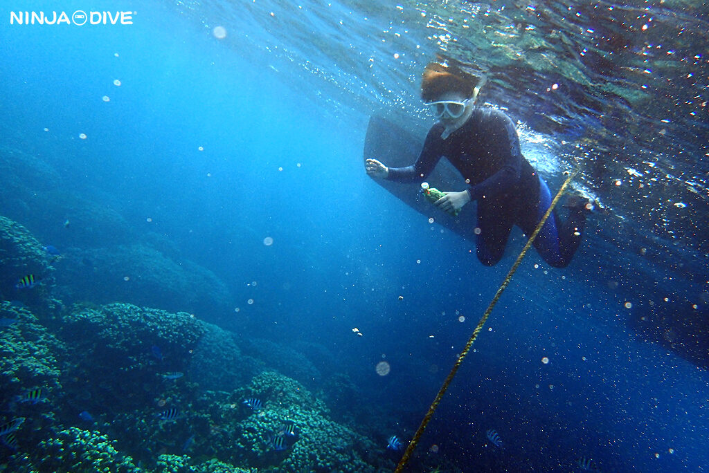 NINJA DIVE 忍者ダイブ 貸し切り プライベート チャーター ボートチャーター ファンダイビング ボートダイビング グアム ダイビング ビギナー 初心者 少人数 ダイビングショップ 家族 お子様連れ グアム 10歳 シュノーケリング