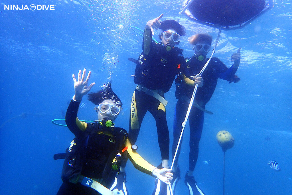 NINJA DIVE 忍者ダイブ 貸し切り プライベート ビーチダイビング グアム 体験ダイビング ビギナー 初心者 ダイビングショップ お魚いっぱい 親子 家族 エメラルドバレー