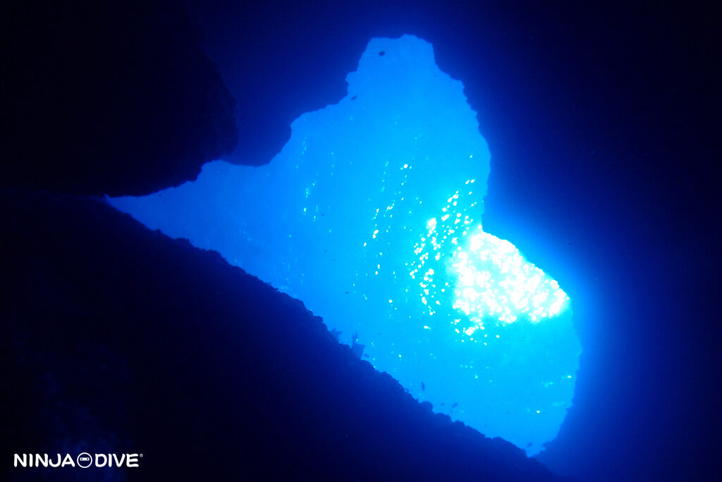 NINJA DIVE 忍者ダイブ 貸し切り プライベート チャーター ファンダイビング ボートダイビング グアム ダイビング ビギナー 初心者 少人数 ブルーホール ハップスリーフ ダイビングショップ おひとりさま カップル ショップツアー 女子旅