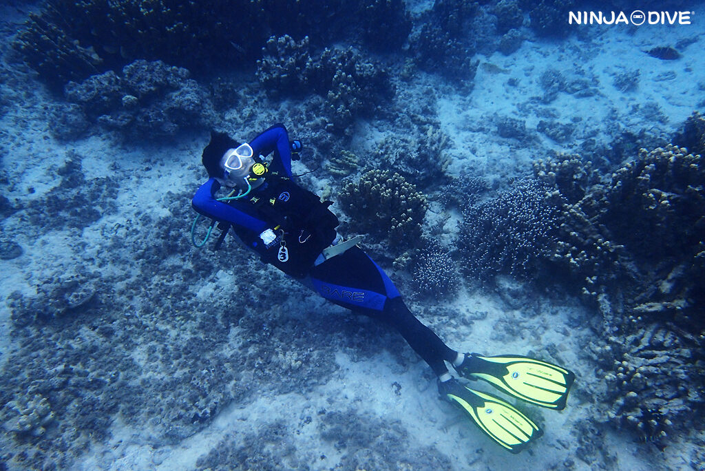 NINJA DIVE 忍者ダイブ 貸し切り プライベート チャーター ファンダイビング ボートダイビング グアム ダイビング ビギナー 初心者 少人数 ブルーホール ハーレーリーフ ダイビングショップ おひとりさま カップル 家族旅行 ビギナー