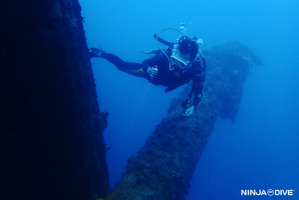 NINJA DIVE 忍者ダイブ 貸し切り プライベート チャーター ファンダイビング ボートダイビング グアム ダイビング ビギナー 初心者 少人数 東海丸 バルボンバー 沈船 九十九式艦上爆撃機 ダイビングショップ おひとりさま