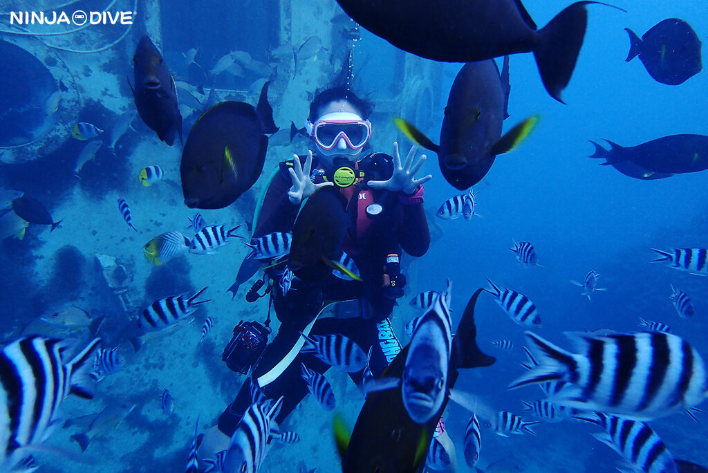 NINJA DIVE 忍者ダイブ 貸し切り プライベート ビーチダイビング グアム ファンダイビング ビギナー 初心者 ダイビングショップ 水中展望台 お魚いっぱい おひとりさま 女子旅 ピティボムホール パラセーリング サンセット