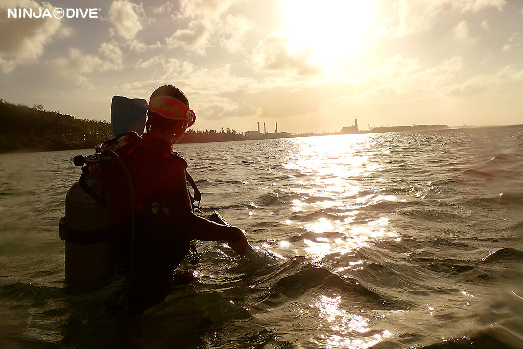 NINJA DIVE 忍者ダイブ 貸し切り プライベート ビーチダイビング グアム ファンダイビング ビギナー 初心者 ダイビングショップ 水中展望台 お魚いっぱい おひとりさま 女子旅 ピティボムホール パラセーリング サンセット