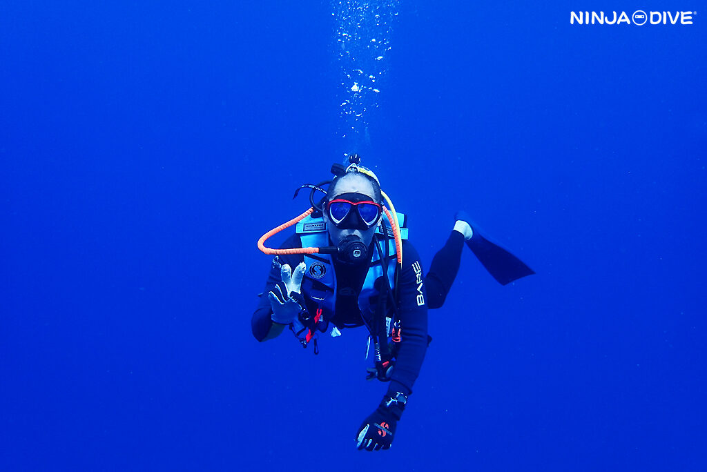 NINJA DIVE 忍者ダイブ 貸し切り プライベート ボートダイビング ビーチダイビング グアム ファンダイビング ビギナー 初心者 ダイビングショップ 水中展望台 お魚いっぱい おひとりさま  ピティボムホール ブルーホール ウェスタンショールズ ハゼ 水中マクロ
