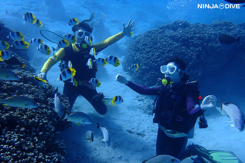 NINJA DIVE 忍者ダイブ 貸し切り プライベート ビーチダイビング グアム 体験ダイビング ビギナー 初心者 ダイビングショップ 水中展望台 お魚いっぱい 親子 母娘 カップル ピティボムホール パラセーリング