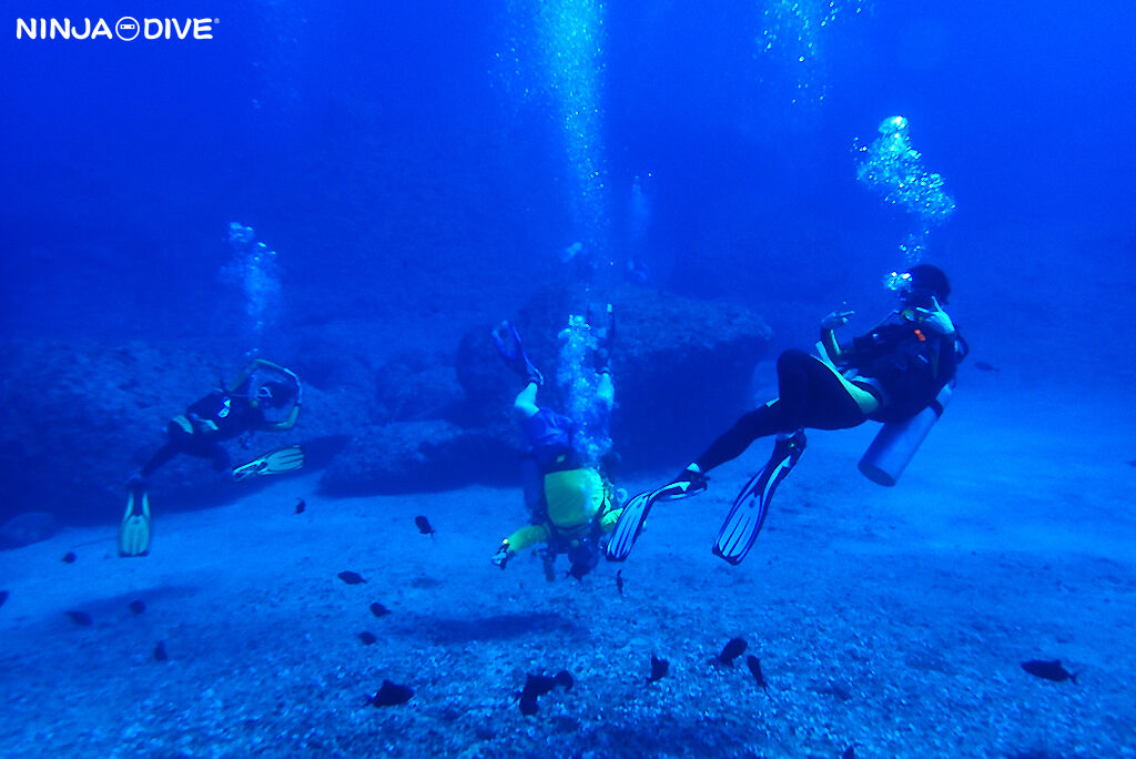 NINJA DIVE 忍者ダイブ 貸し切り プライベート チャーター ファンダイビング ボートダイビング グアム ダイビング ビギナー 初心者 少人数 クレバス セメントバージ バルボンバー レック ダイビングショップ デビュー