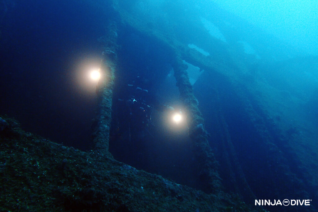 NINJA DIVE 忍者ダイブ 貸し切り プライベート チャーター ファンダイビング ボートダイビング グアム ダイビング ビギナー 初心者 少人数 東海丸 コーモラン 沈船 ダイビングショップ おひとりさま ガラスハゼ 卵塊