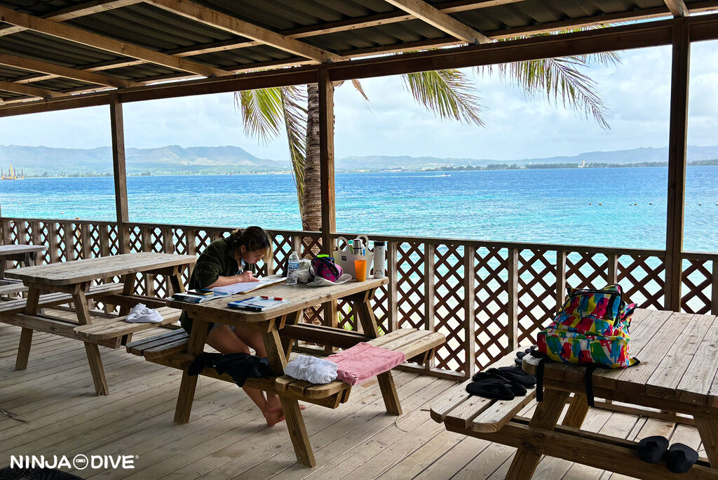 NINJA DIVE 忍者ダイブ 貸し切り プライベート チャーター ファンダイビング ボートダイビング グアム ダイビング ビギナー 初心者 少人数 ダイビングショップ ライセンス講習 オープンウォーター